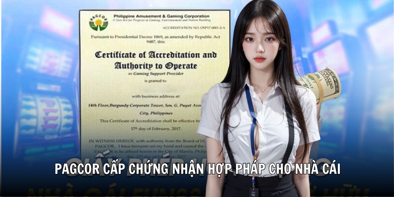 Các loại giấy phép hoạt động 78Win đã được cấp
